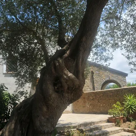 Casetta Clementina Casa vacanze Castellabate